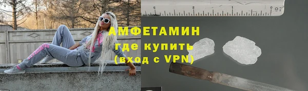 твердый Арсеньев