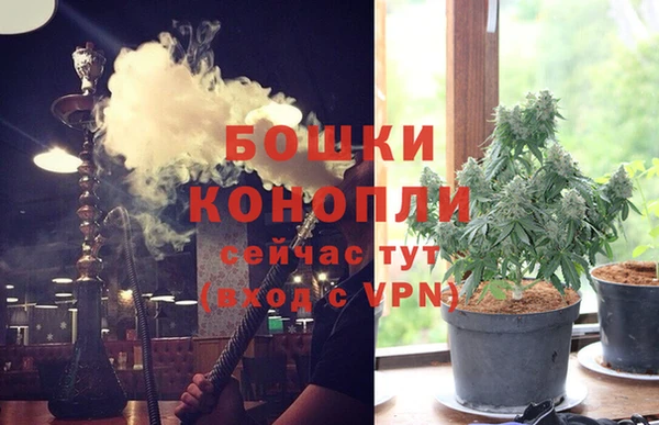 спайс Аркадак