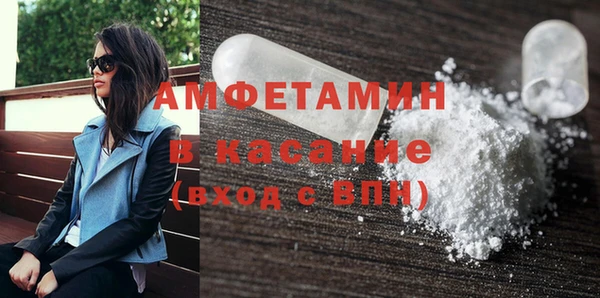 твердый Арсеньев