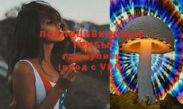 твердый Арсеньев