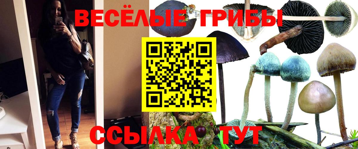 Галлюциногенные грибы GOLDEN TEACHER  Вход с VPN  Нефтекамск  Галлюциногенные грибы MAGIC MUSHROOMS 