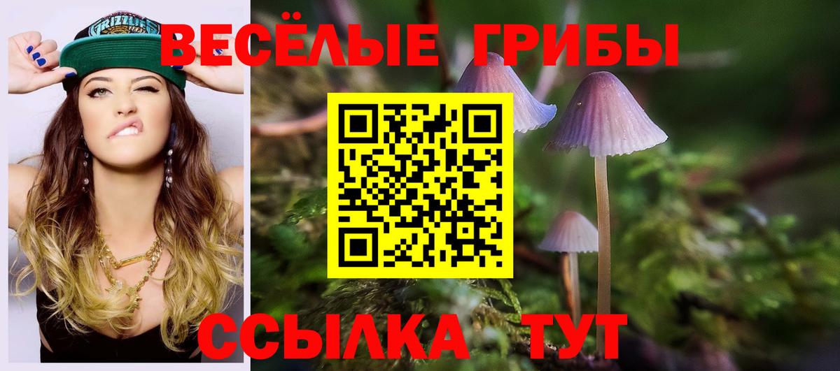 Галлюциногенные грибы MAGIC MUSHROOMS Нефтекамск